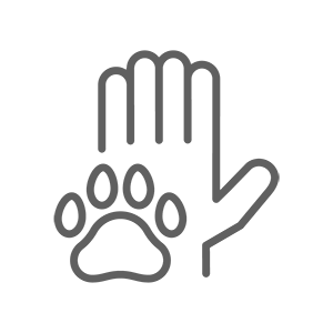 pet-sitting-meet-and-greet Meet your pet sitter in Treasure Coast FL
